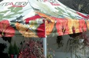 Custom Printed Pop Up Canopy Tent