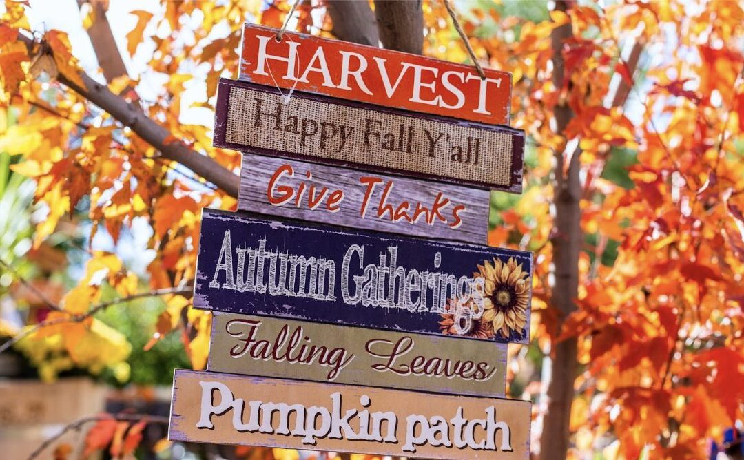 How to use signs to enhance your seasonal marketing campaigns