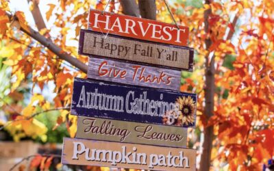 How to use signs to enhance your seasonal marketing campaigns