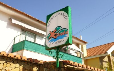 The power of custom signage: A comprehensive guide to every sign TNT Signs and Graphics offers